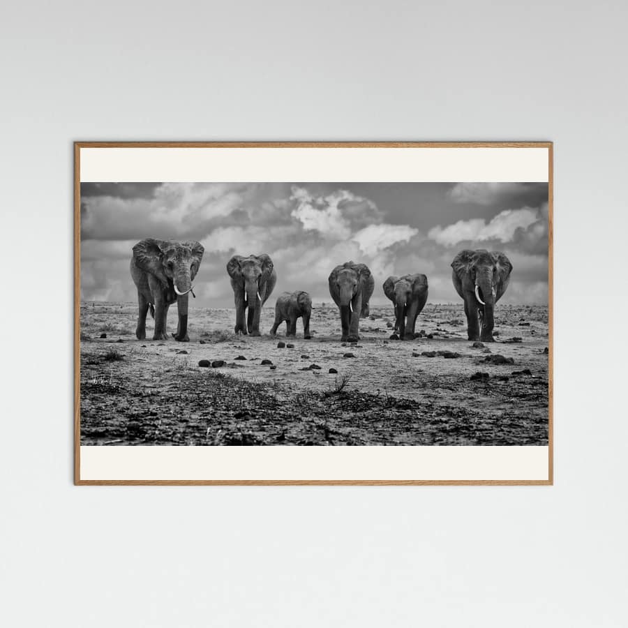 Poster Big Family