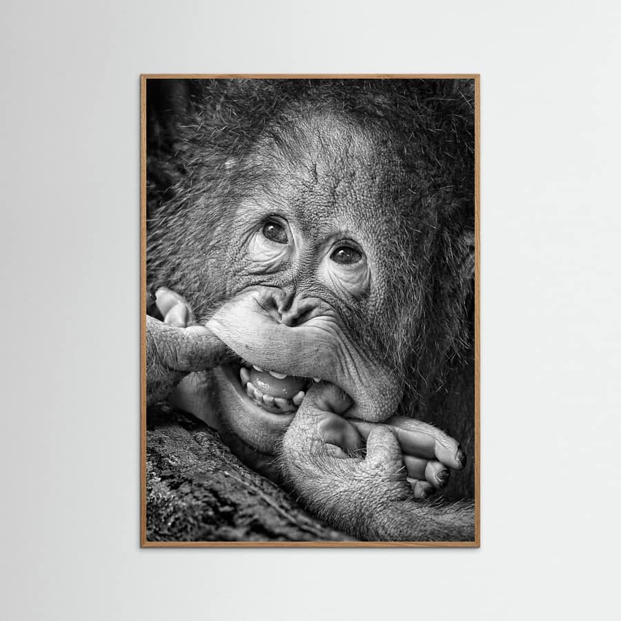 Big Smile.....please Poster – plakat og kunsttryk
