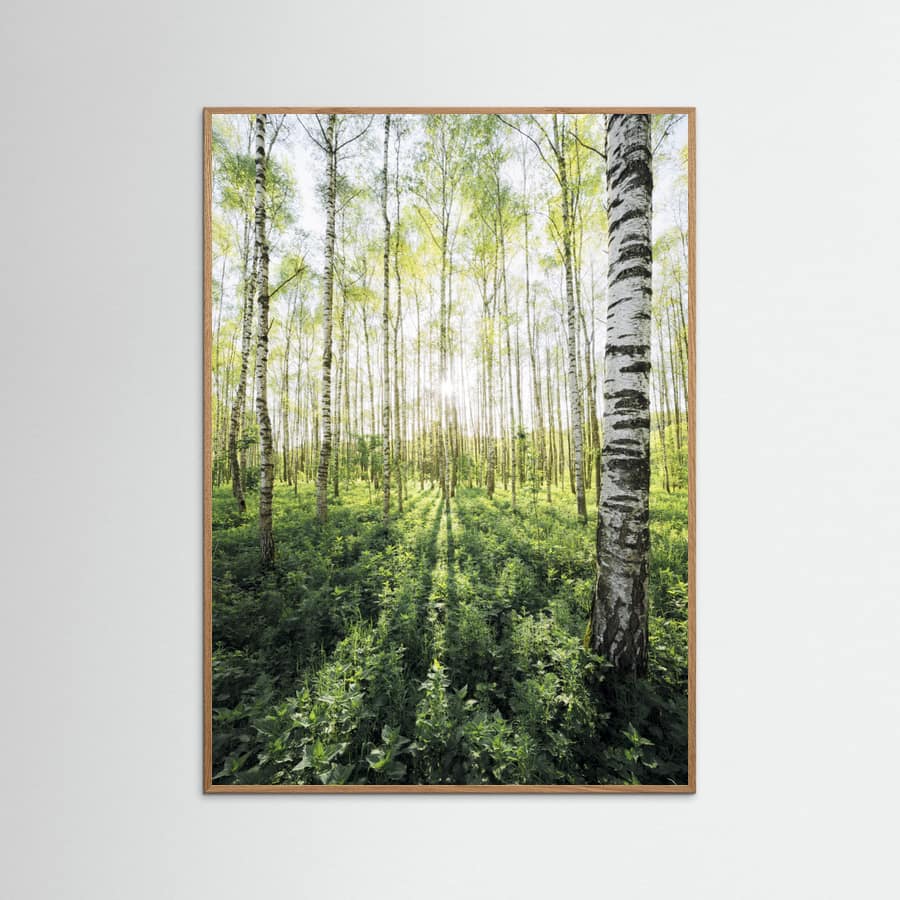 Birch Grove vertical Poster – poster en kunstdruk
