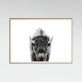 Póster Bison Bw – póster e impresión artística