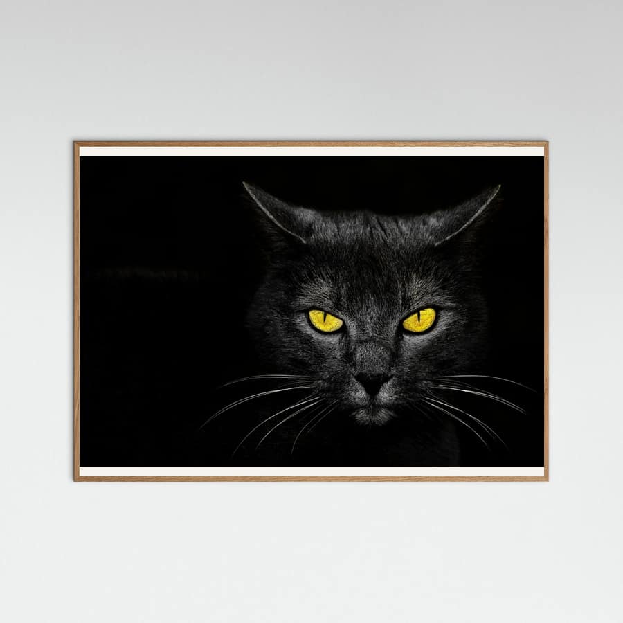 Black Cat Poster