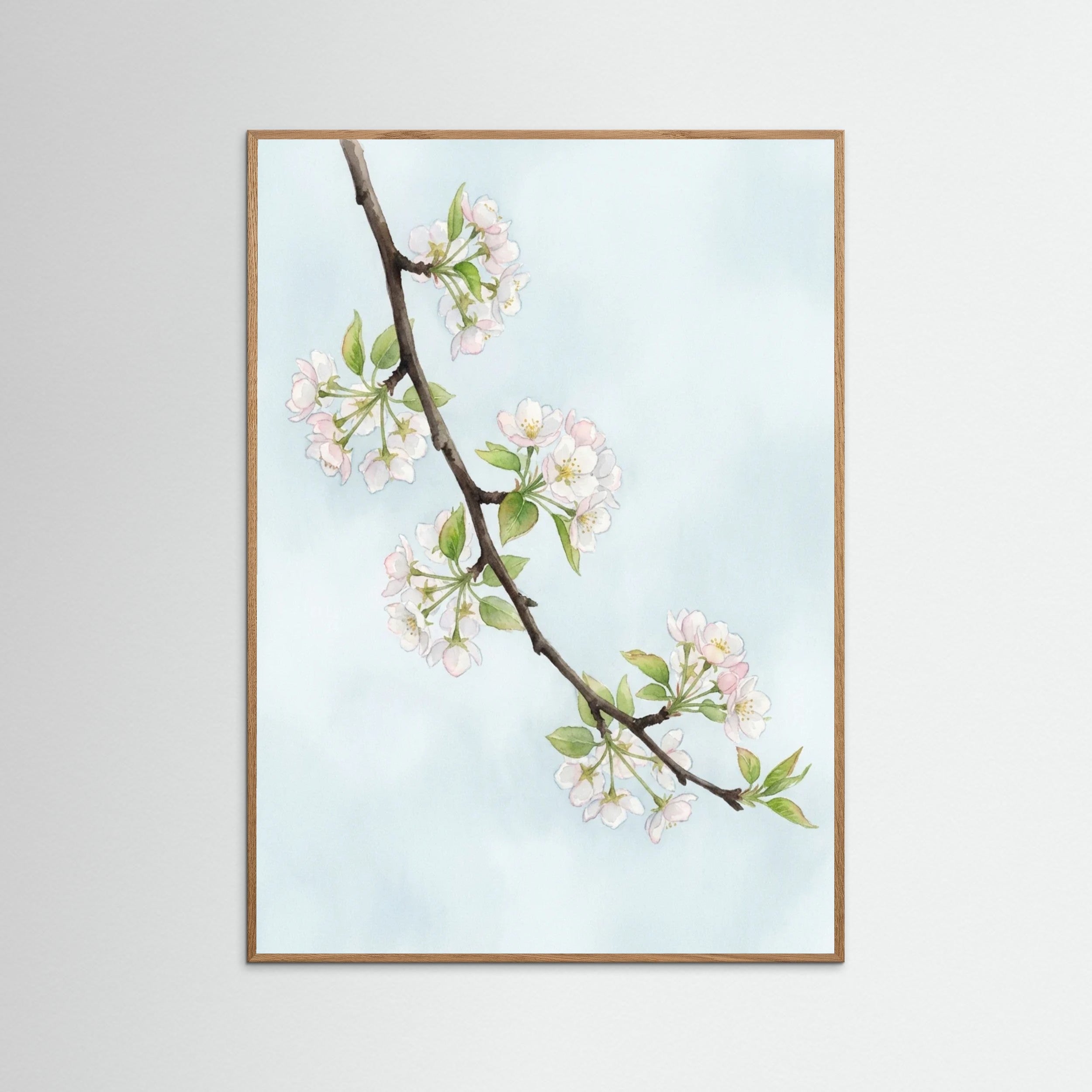 Oak Nature Blossoms Serenity