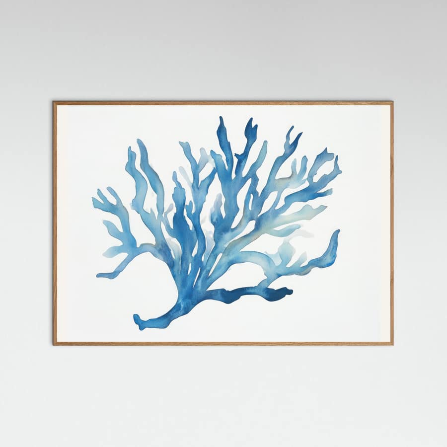 Blue Coral -juliste
