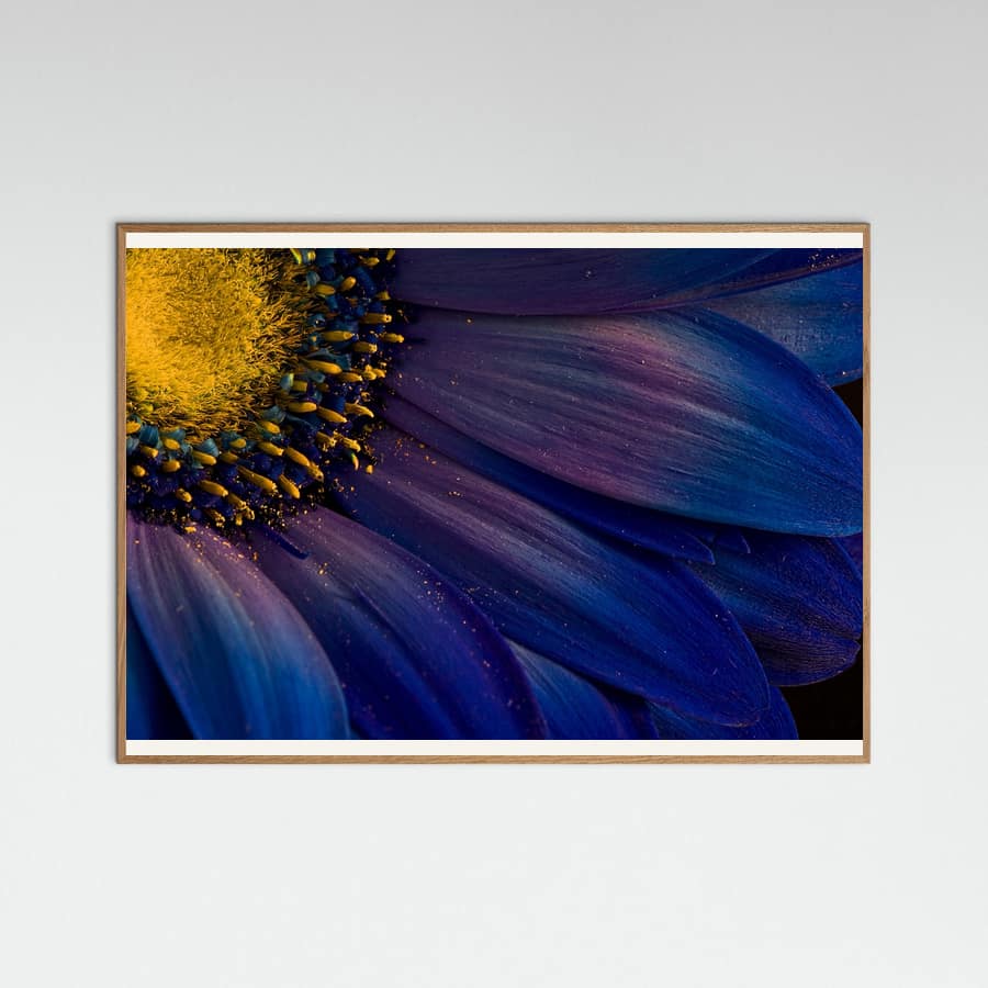 Blue Rays Poster – poster and art print