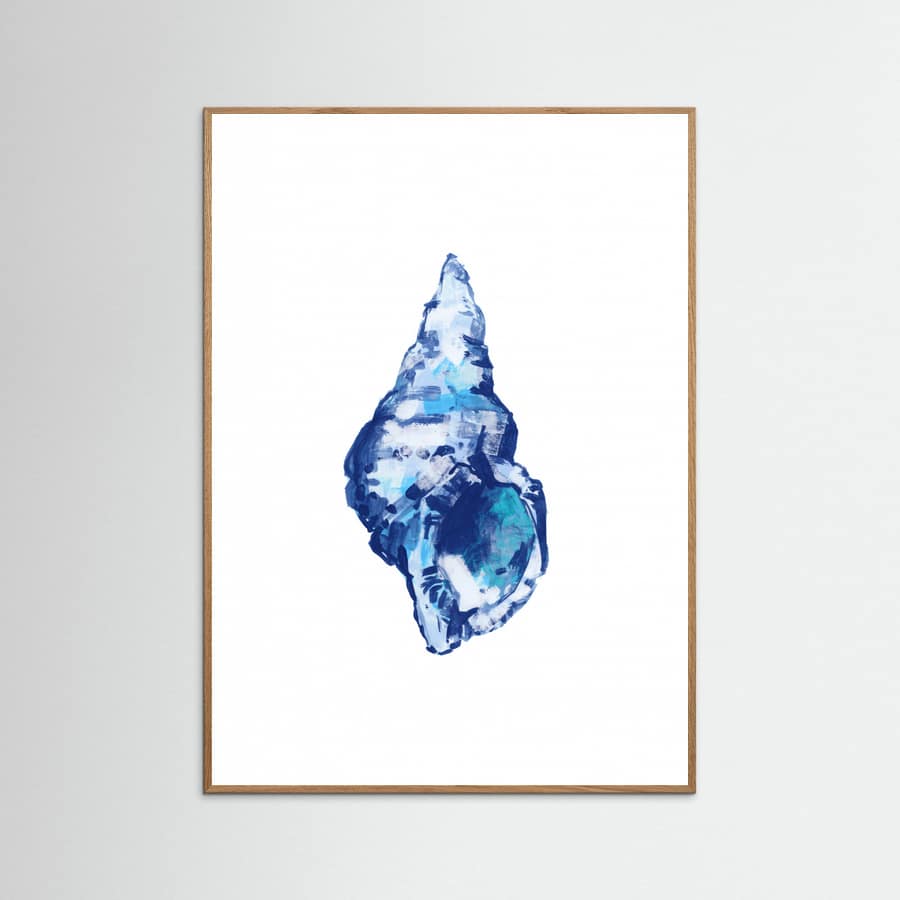 Poster Blue Seashell On White Background No 2