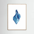 Affiche Blue Seashell On White Background No3 – affiche et impression d’art