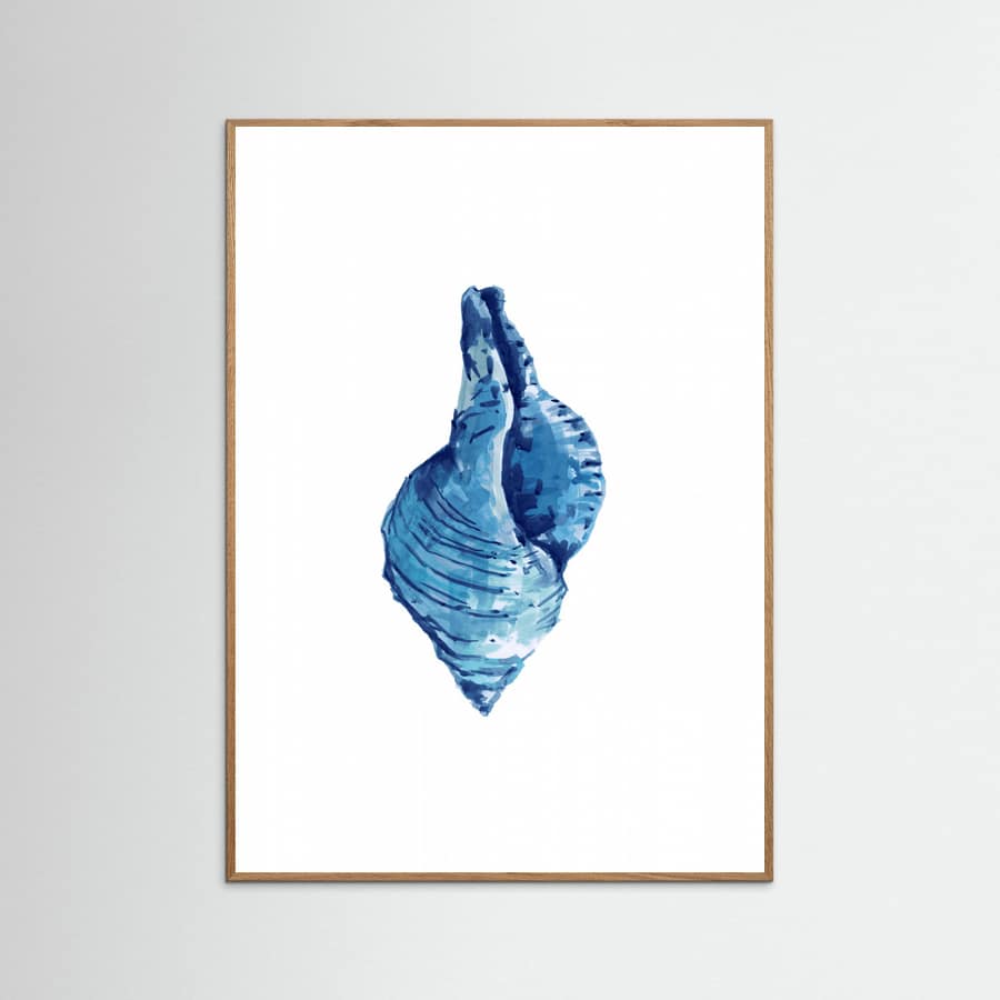 Poster Blue Seashell On White Background No3