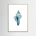 Blue Seashell On White Background No4 Poster – poster och konsttryck