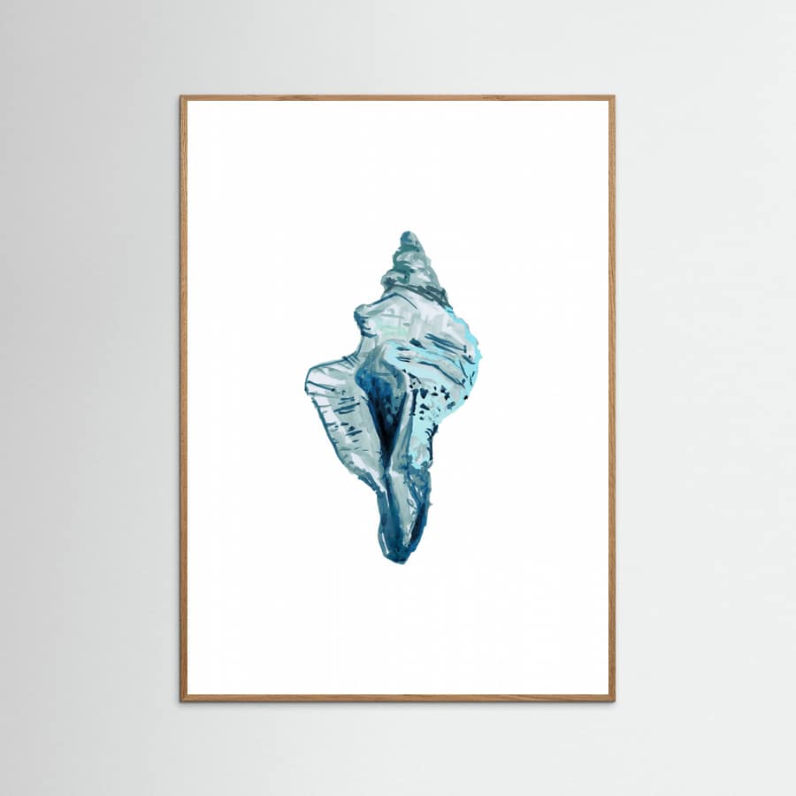 Poster Blue Seashell On White Background No4