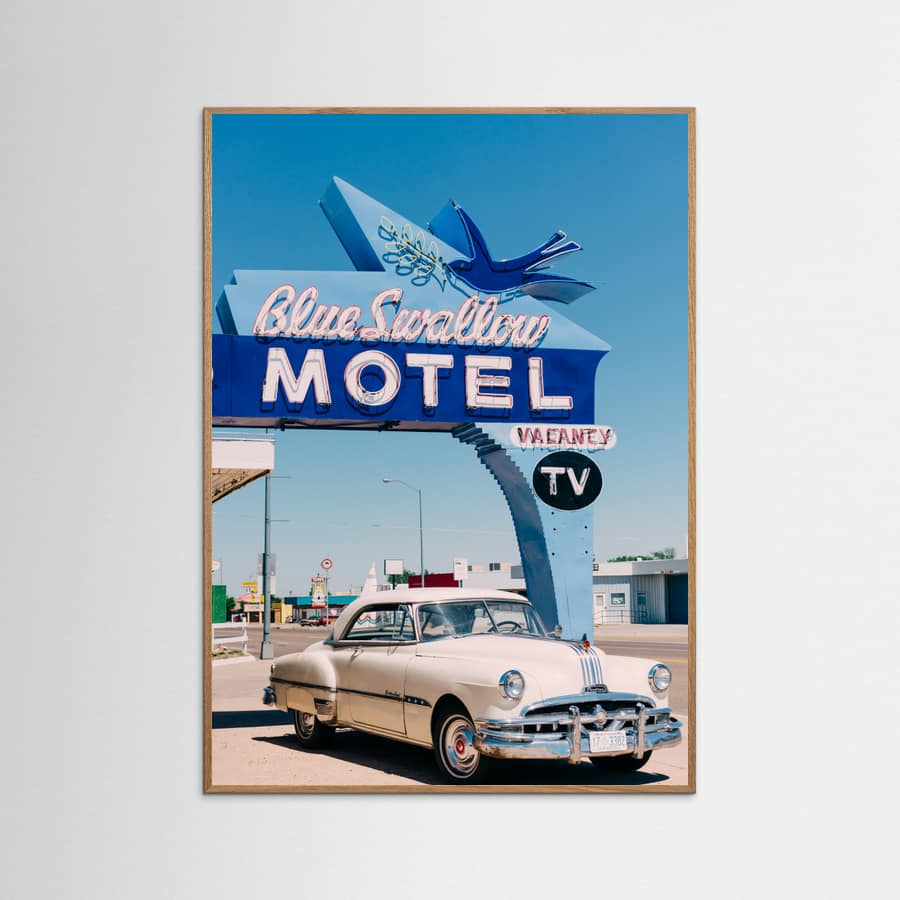 Blue Swallow Motel Poster