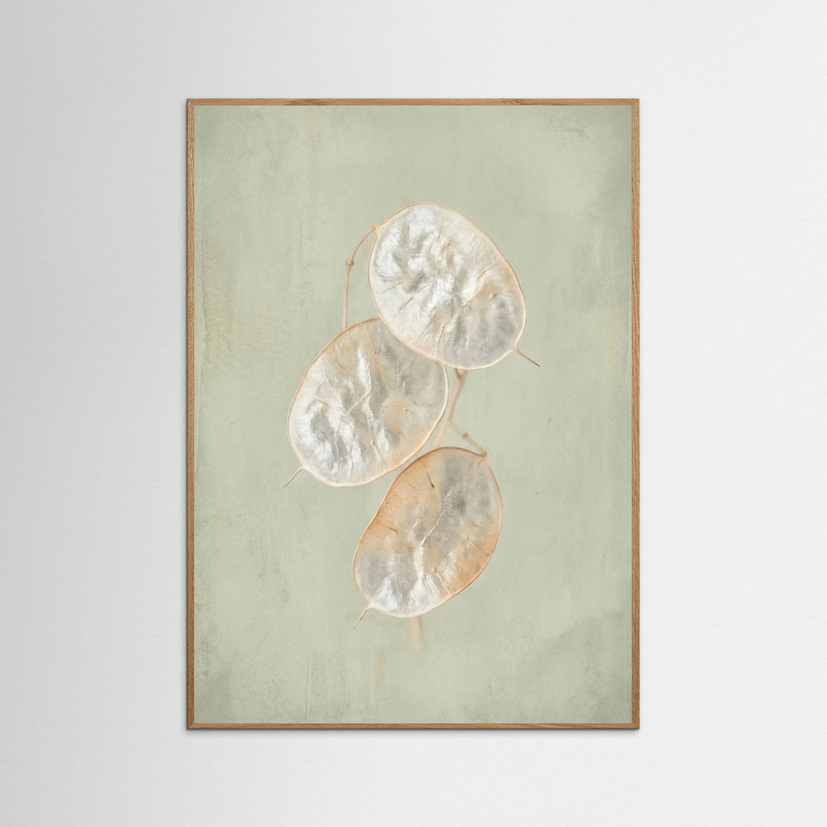 Oak Nature Blush Bloom