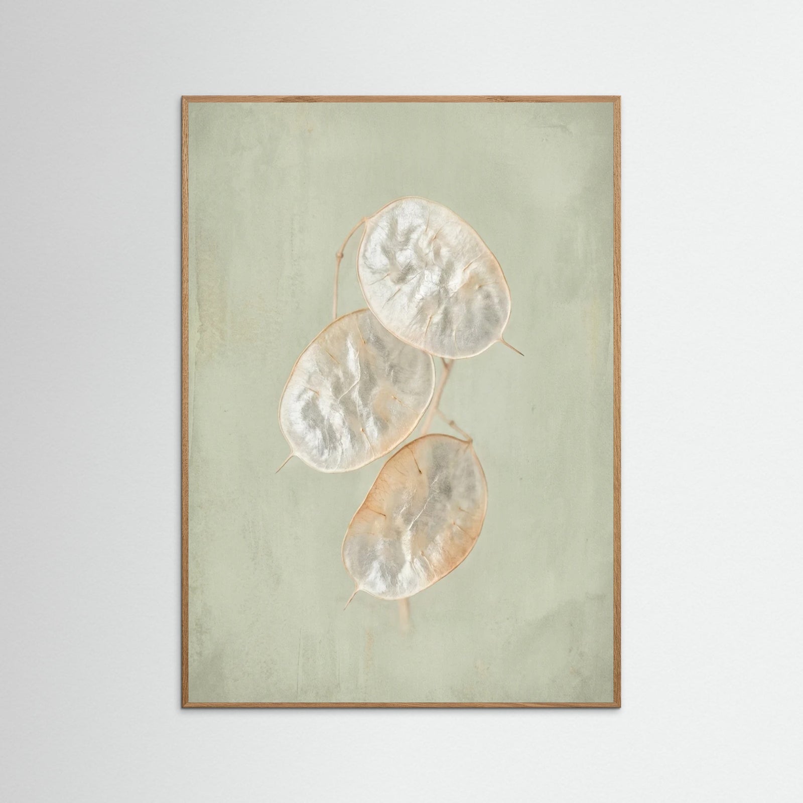 Oak Nature Blush Bloom