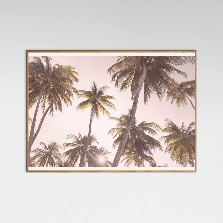 Blush Palm Trees Poster