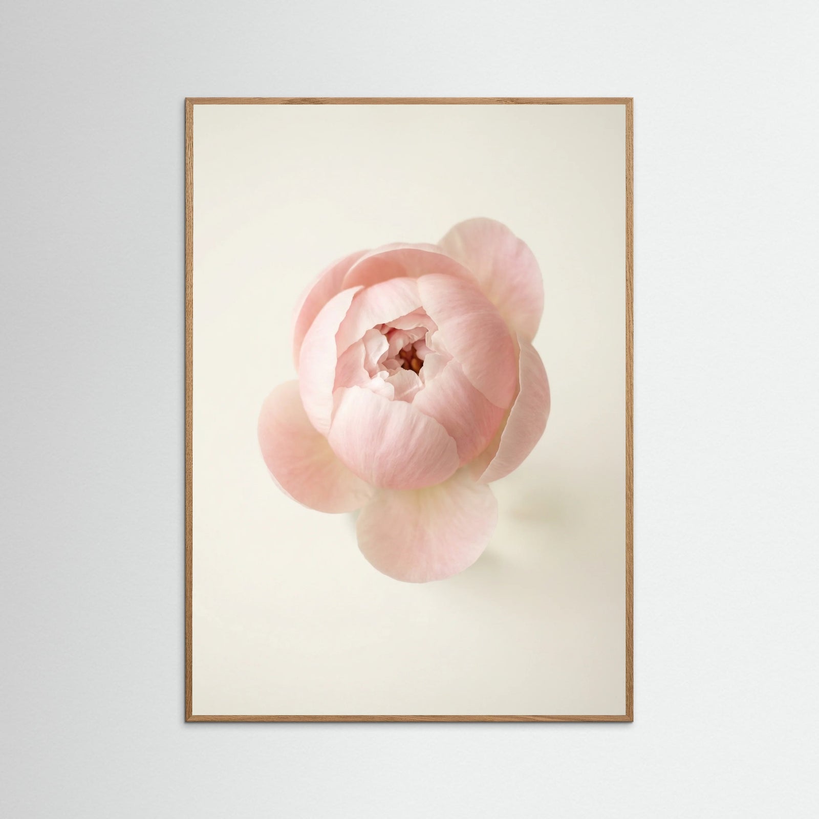 Oak Nature Blushing Blooms