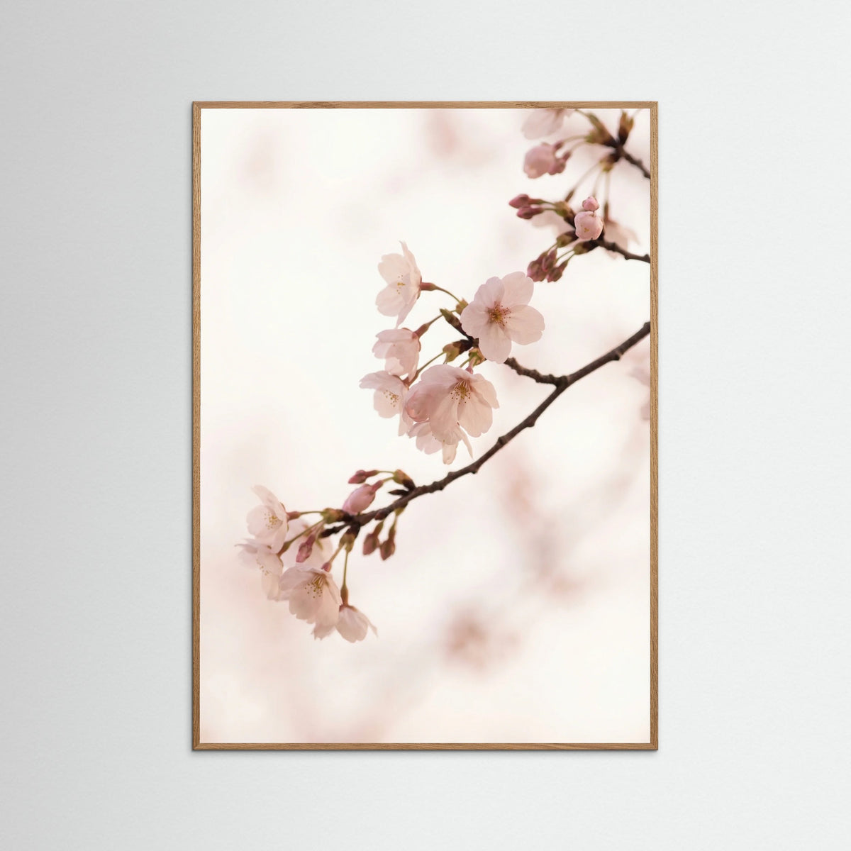 Oak Nature Blushing Branches