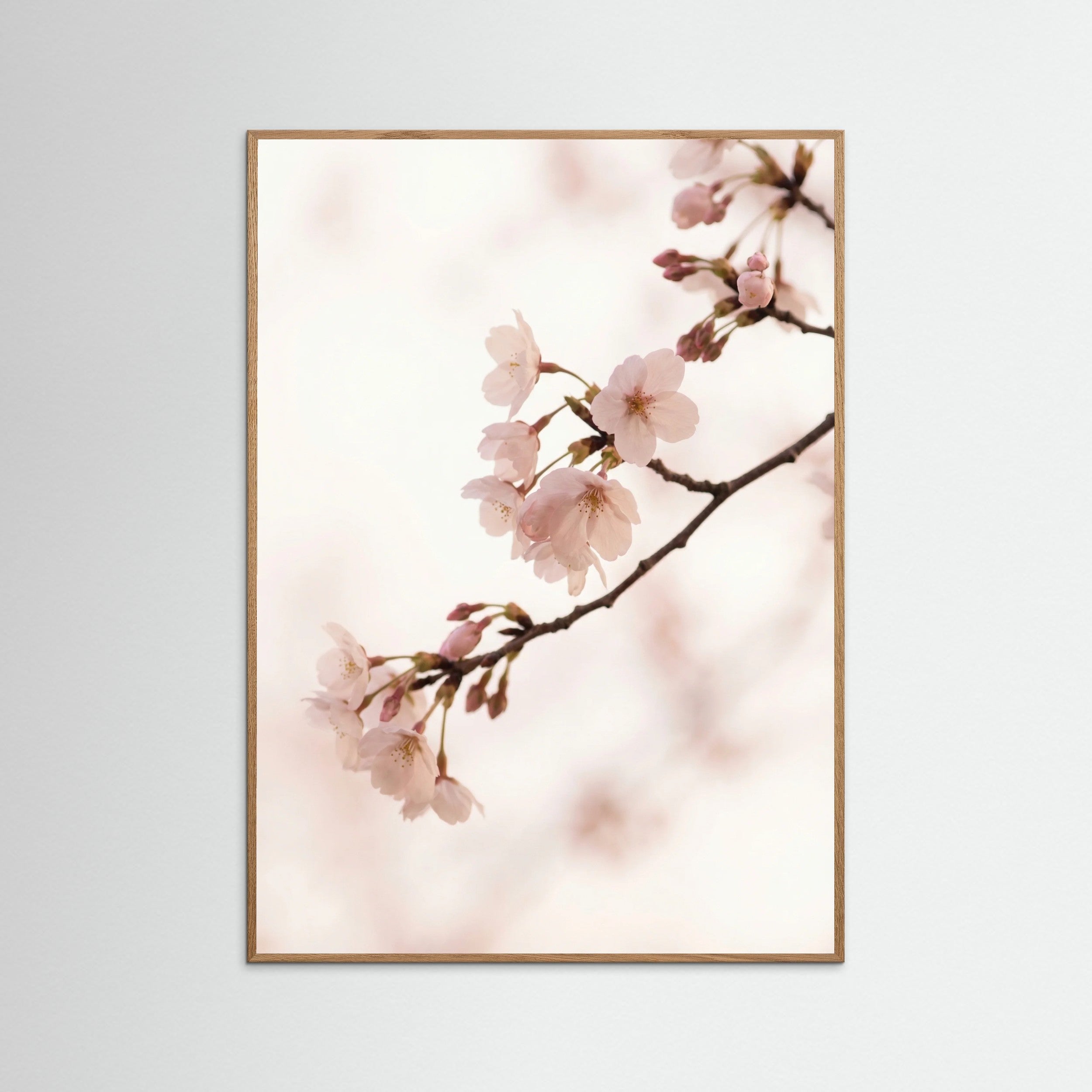 Oak Nature Blushing Branches