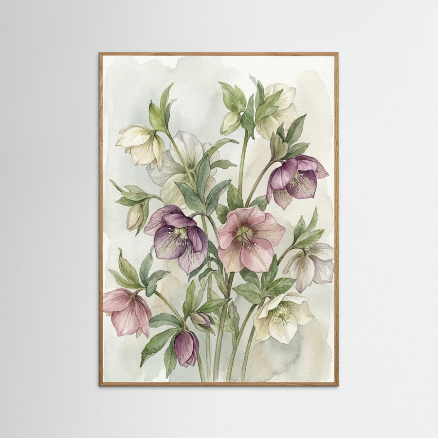 Blushing Magnolias