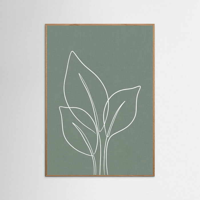 Oak Nature Botanical Calm
