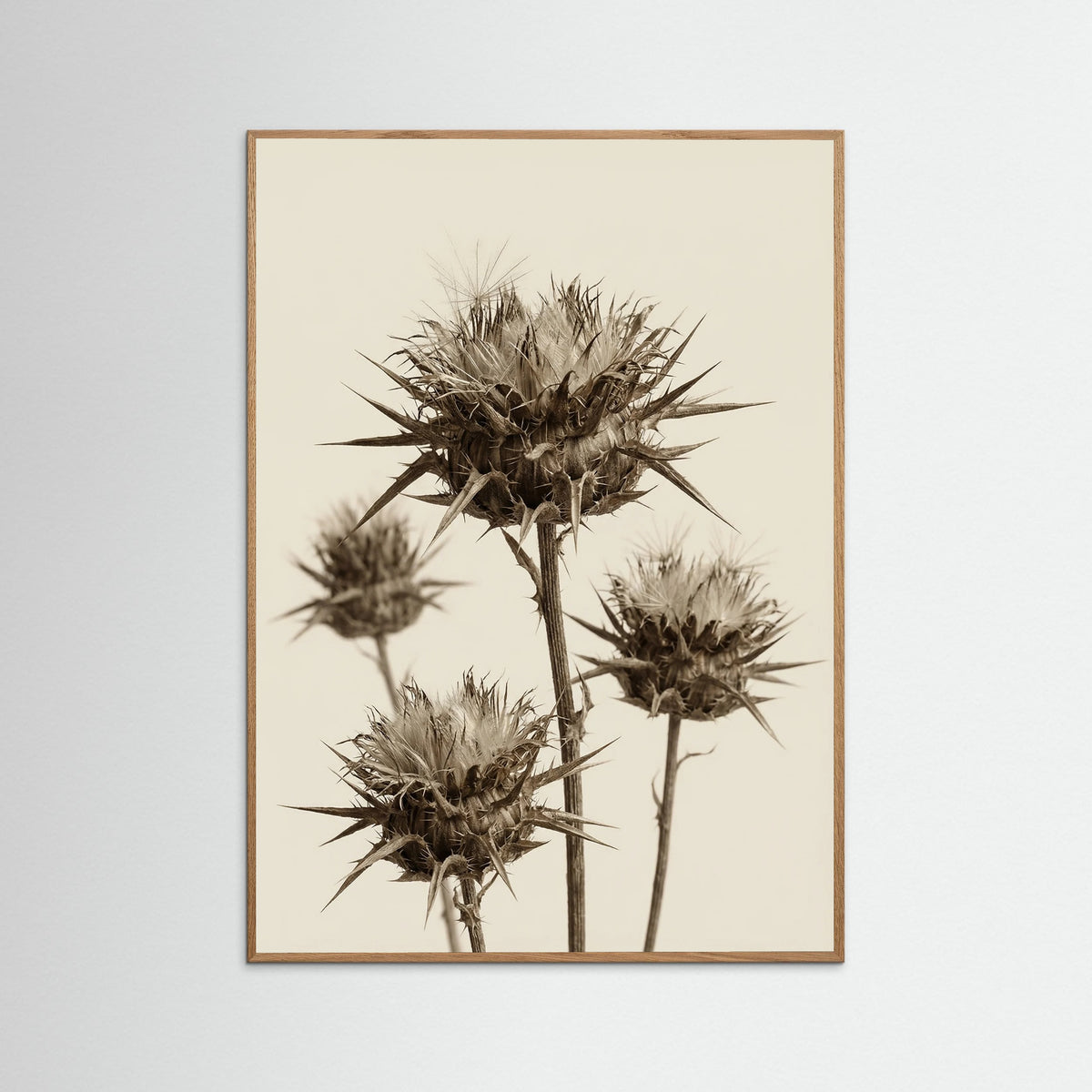 Oak Nature Botanical Elegance