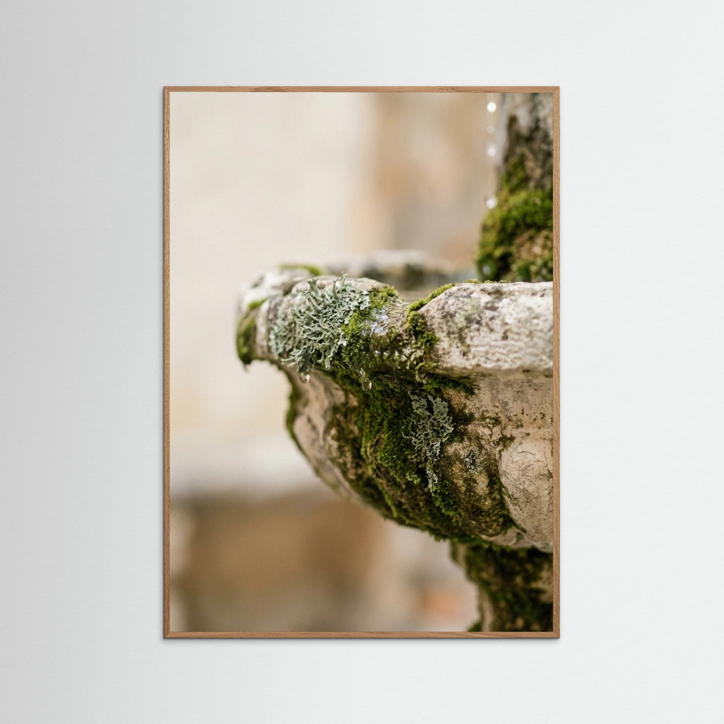 Oak Nature Botanical Embrace