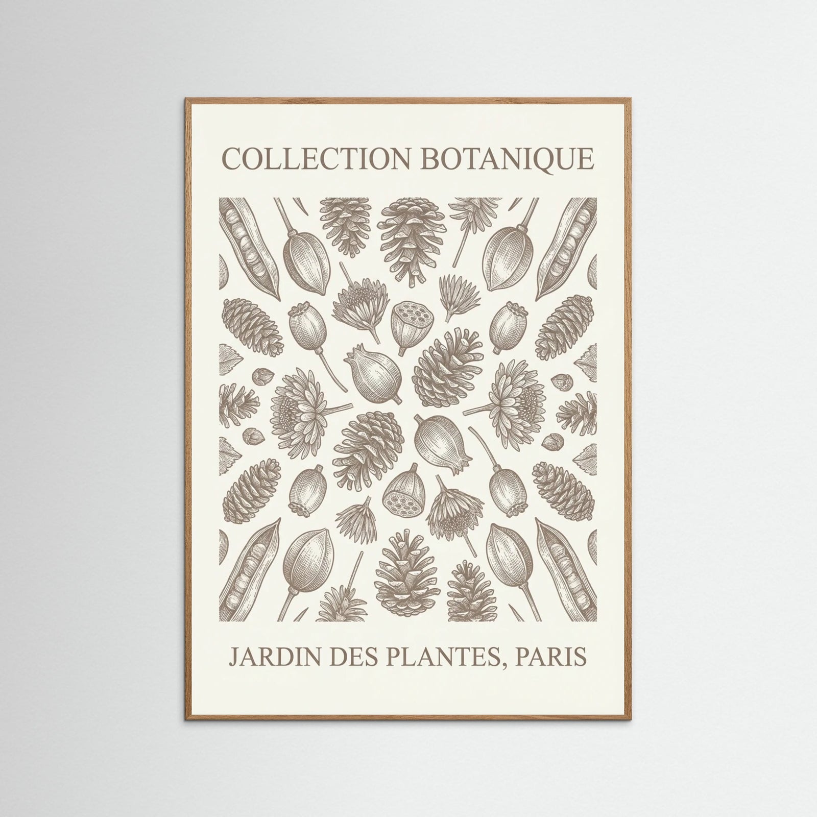 Oak Nature Botanical Etchings