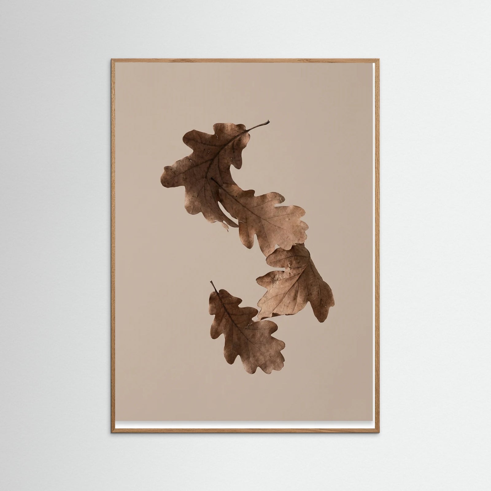 Oak Nature Botanical Forms