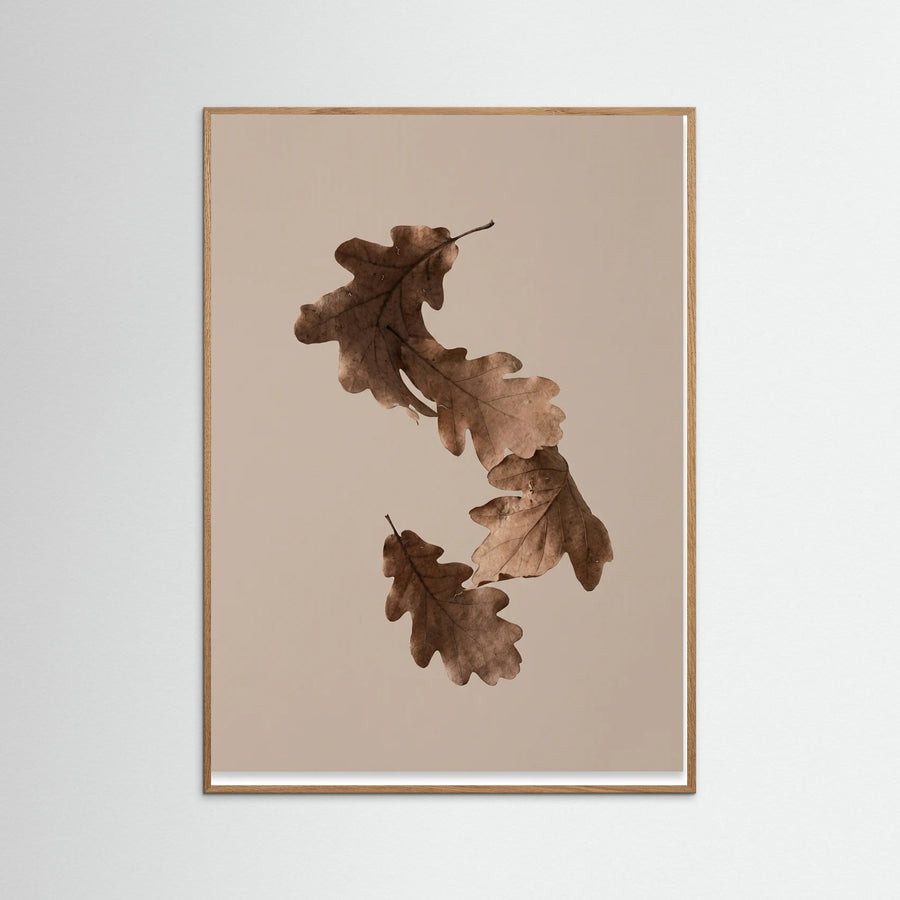Botanical Forms