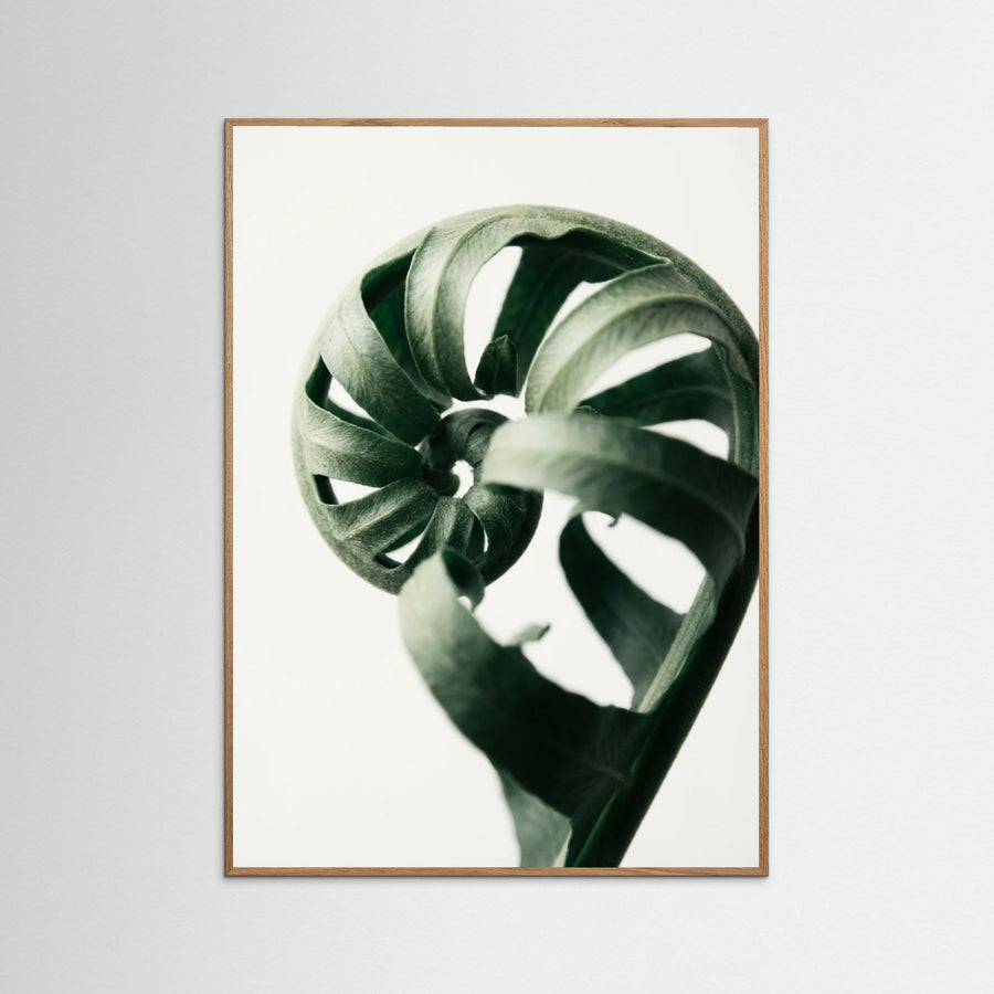 Botanical Serenity