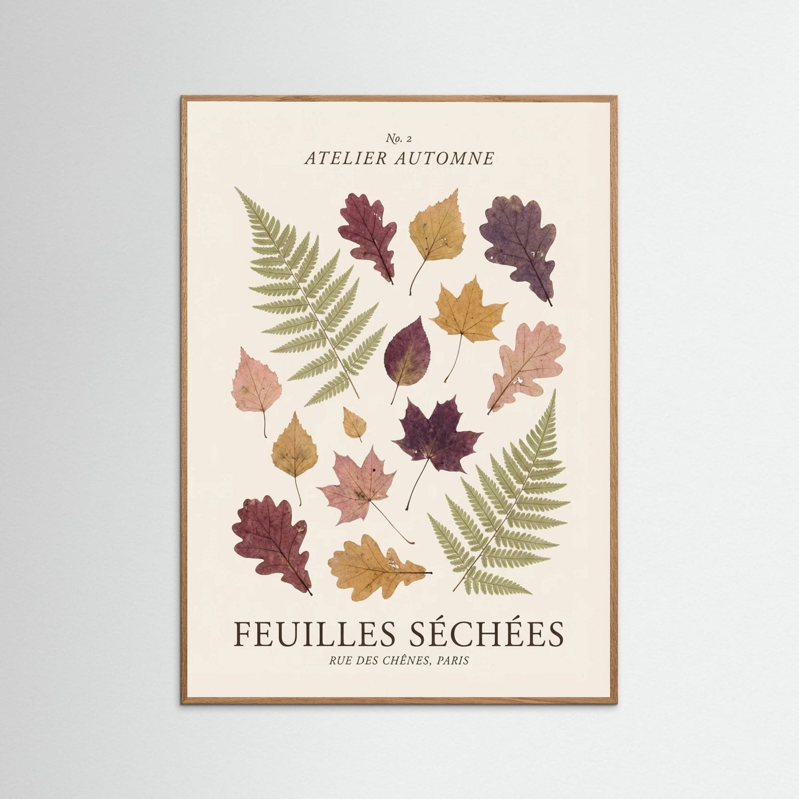 Oak Nature Botanical Serenity