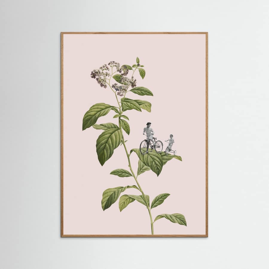Botanical cycling Poster – poster en kunstdruk