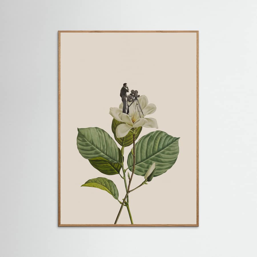 Botanical vintage cameraman Poster – poster en kunstdruk