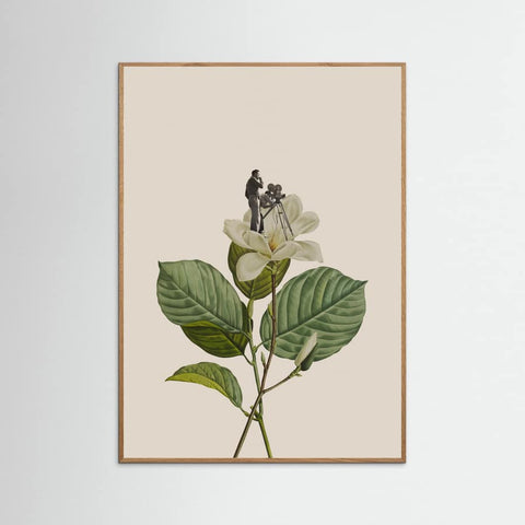 Oak Nature Botanical vintage cameraman Poster
