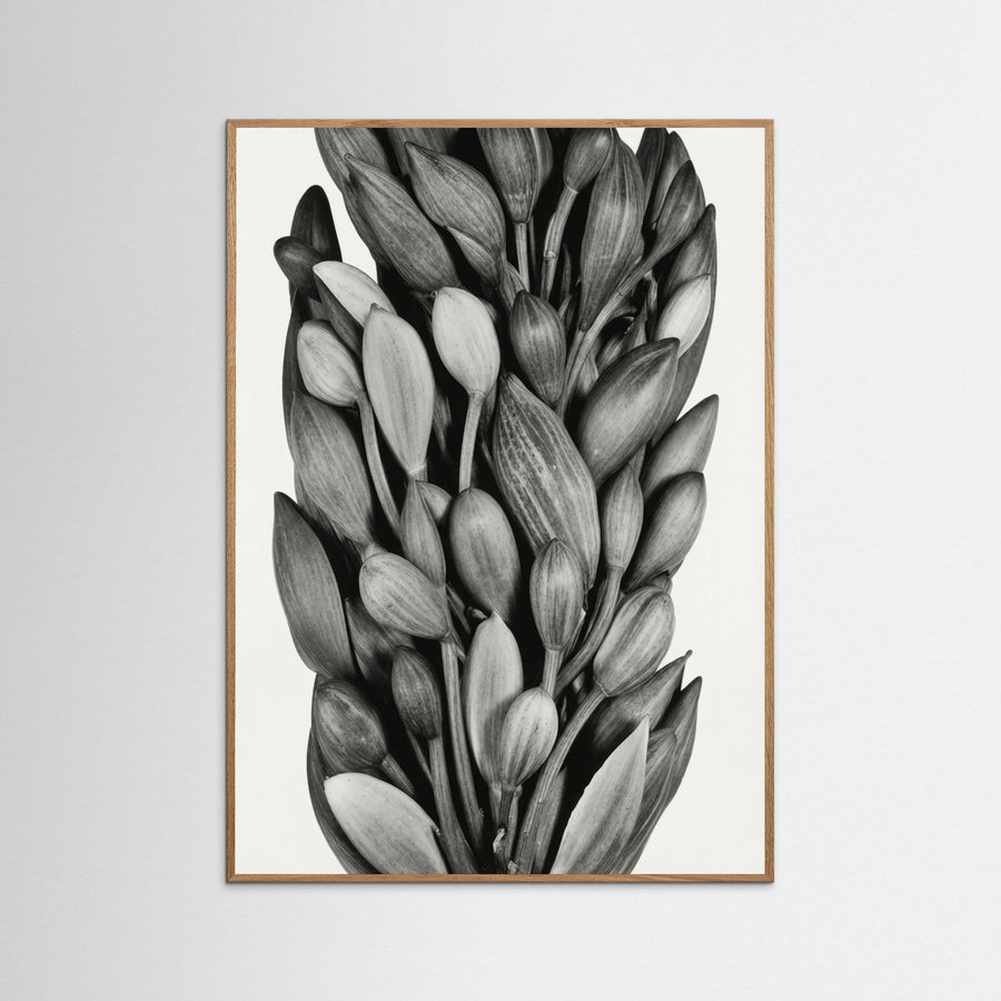 Budding Forms