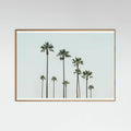 Póster Cali Palms – póster e impresión artística