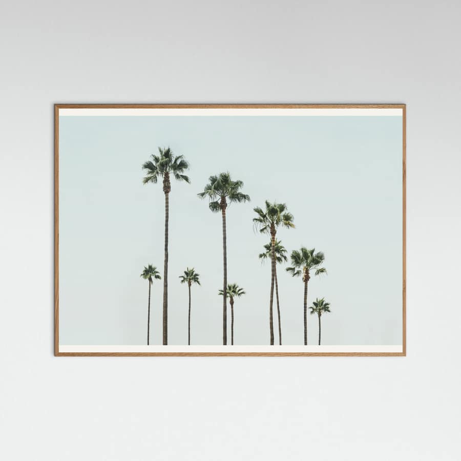 Cali Palms Poster