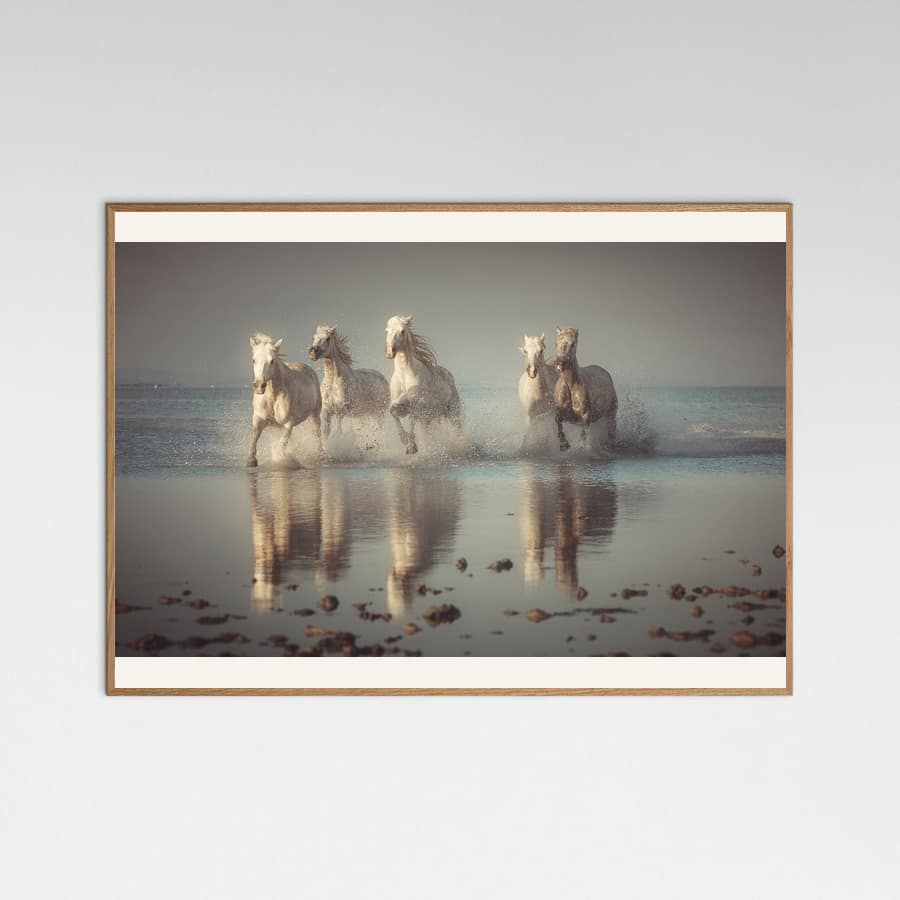 Poster Camargue Horses – poster e stampa artistica