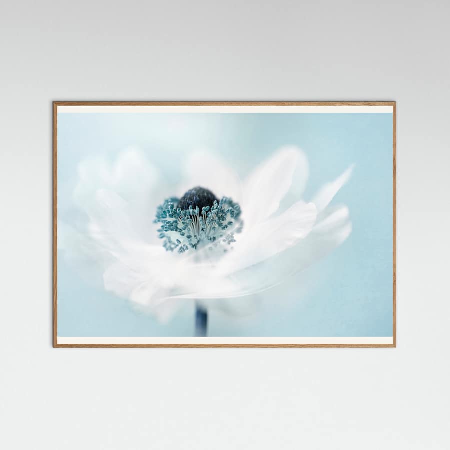 Candy floss Poster – plakat og kunsttryk
