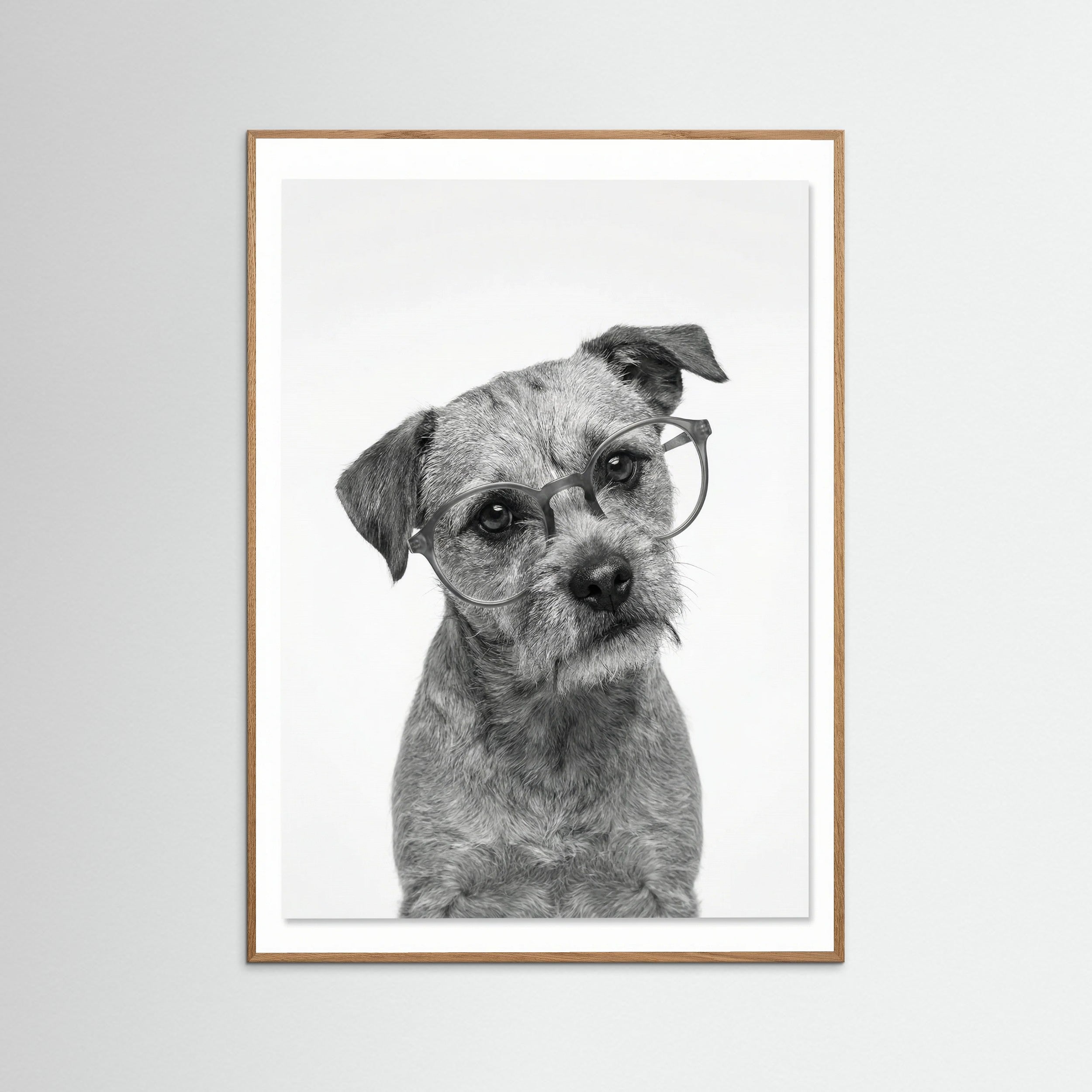 Oak Nature Canine Companions