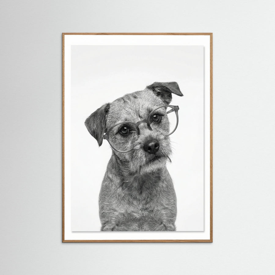 Canine Companions