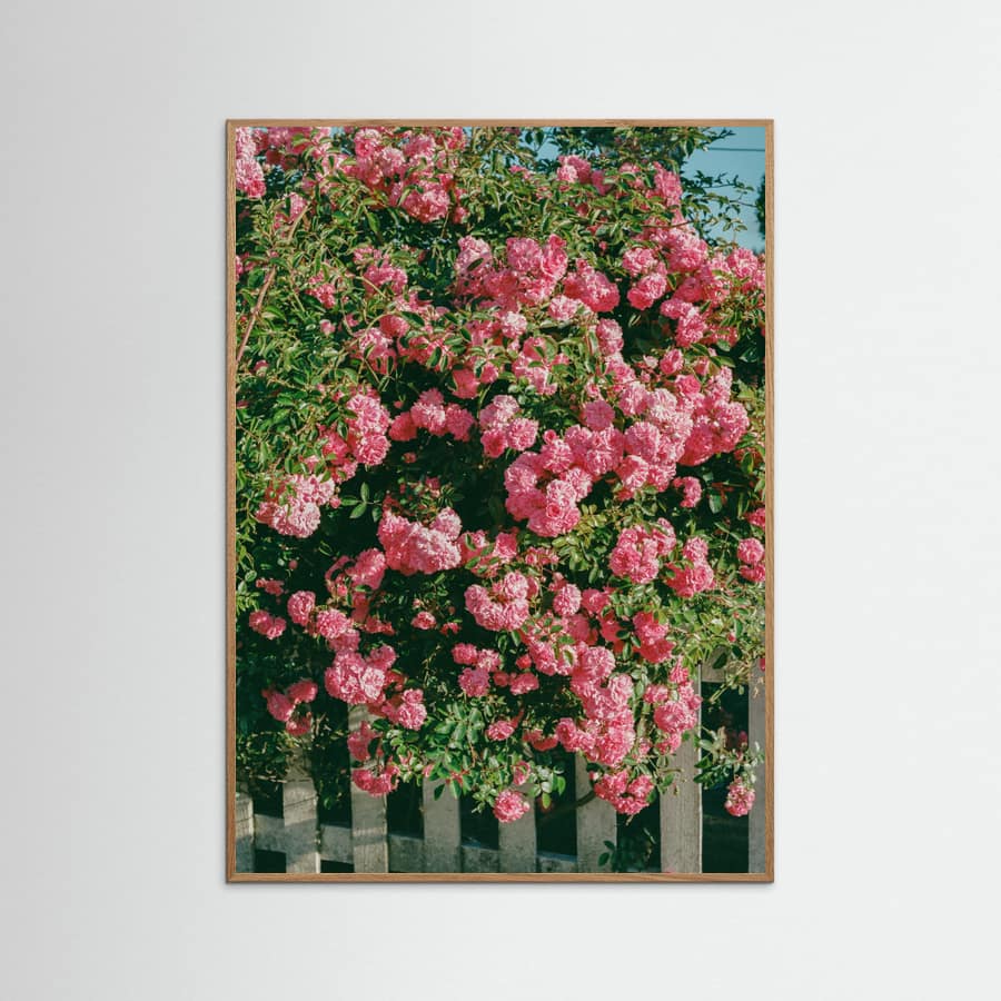 Cannon Beach Blooms Poster