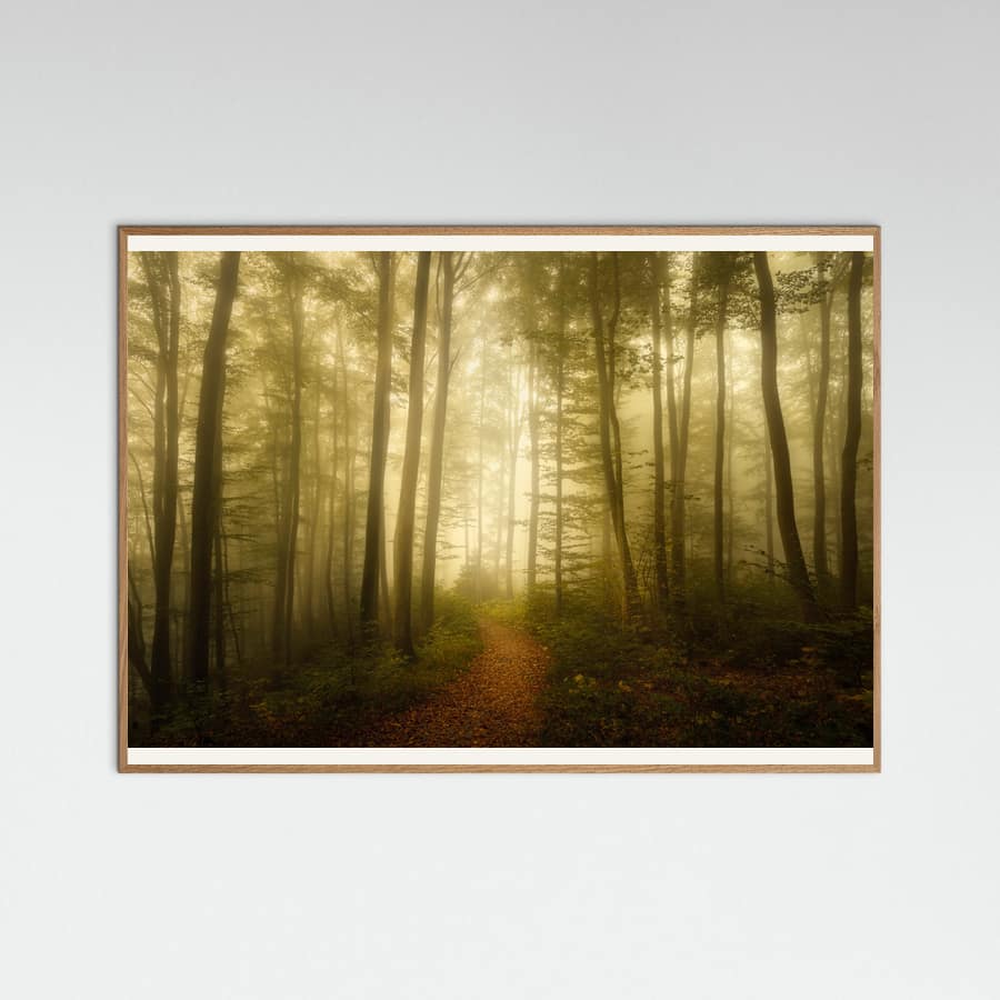 Charm of the ephemeral Poster