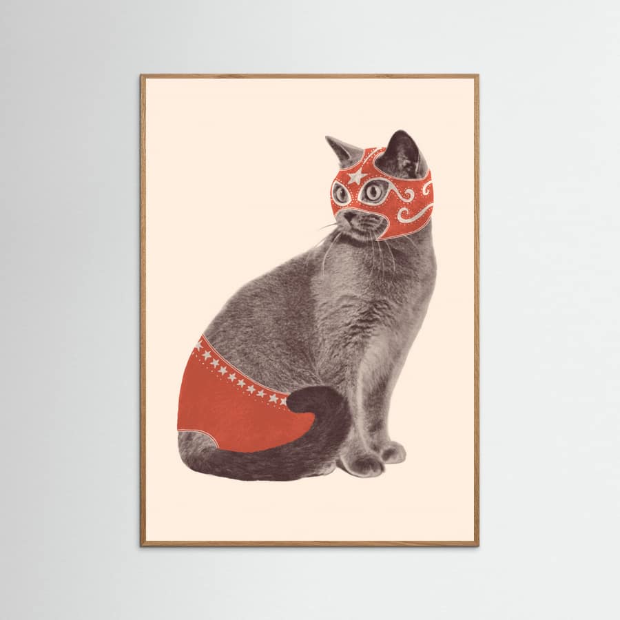 Póster Chat Catcheur