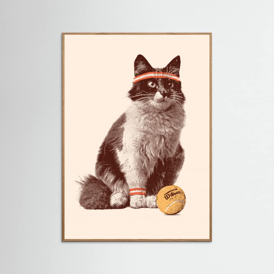Plakat Chat Tennis – plakat i druk artystyczny