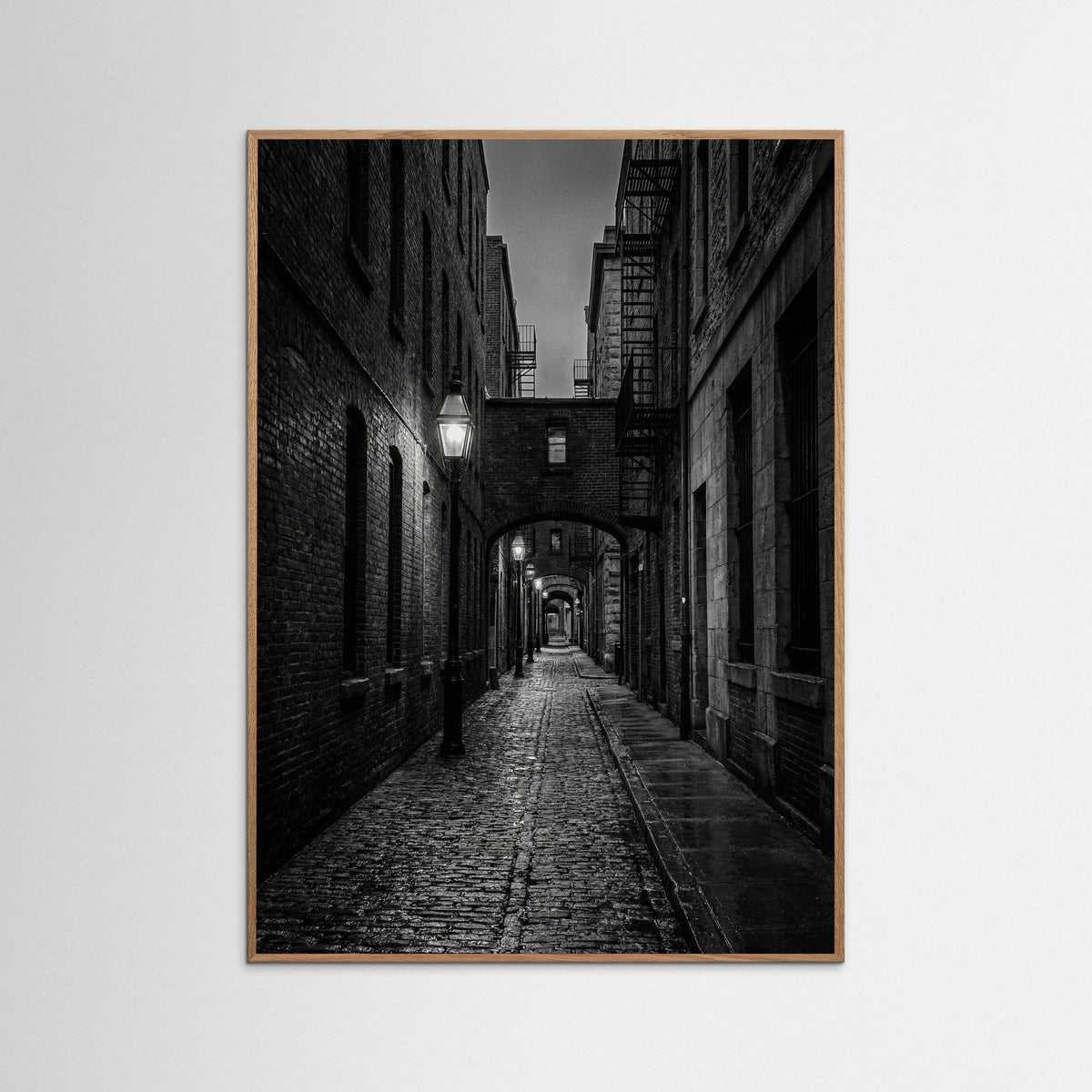 Oak Nature Citys Quiet Rest