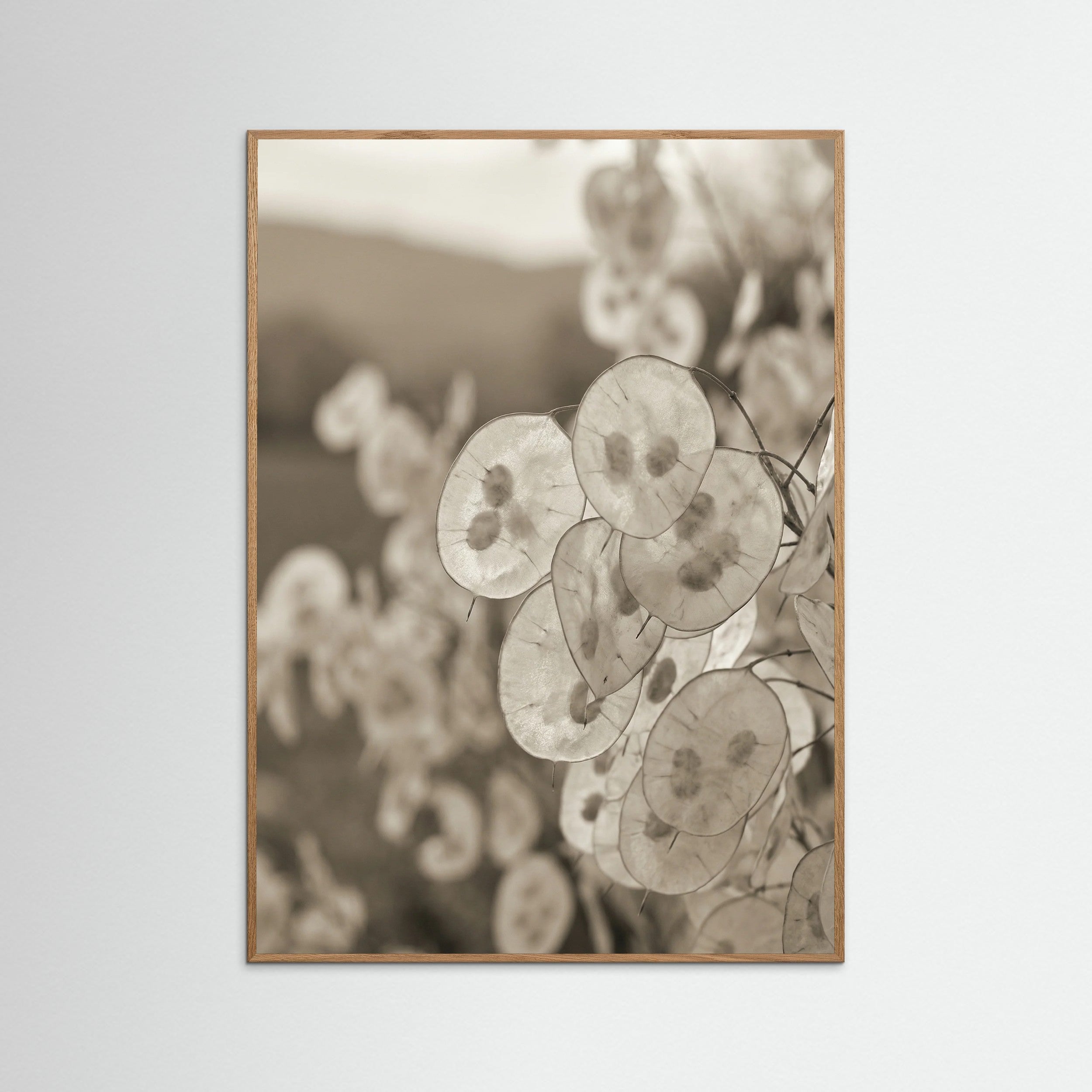 Oak Nature Coastal Fluff