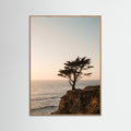 Oak Nature Coastal Horizon