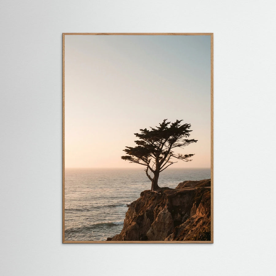 Coastal Horizon