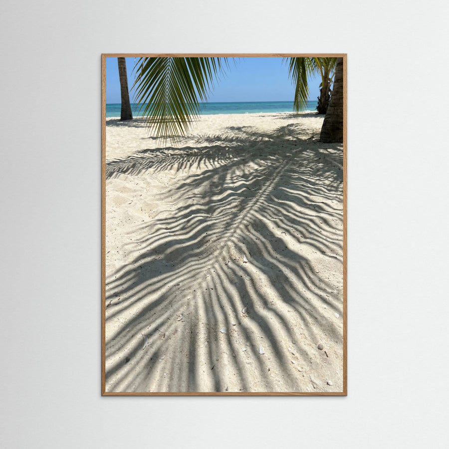 Coastal Palm Breeze
