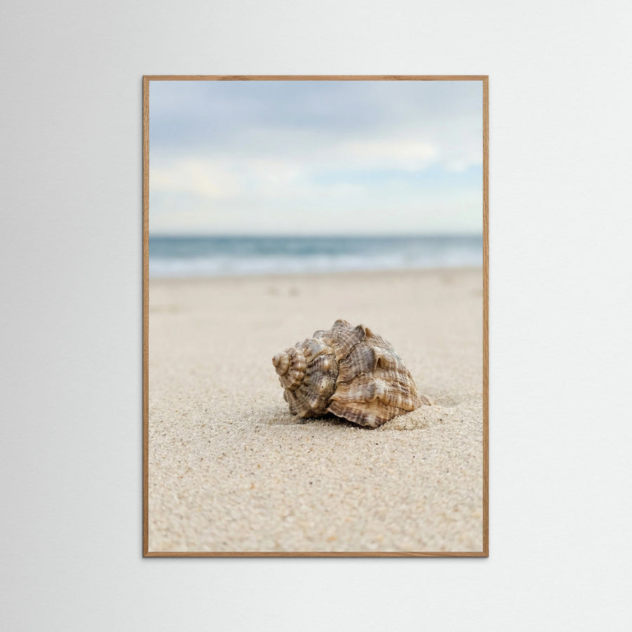 Coastal Serenity Beige