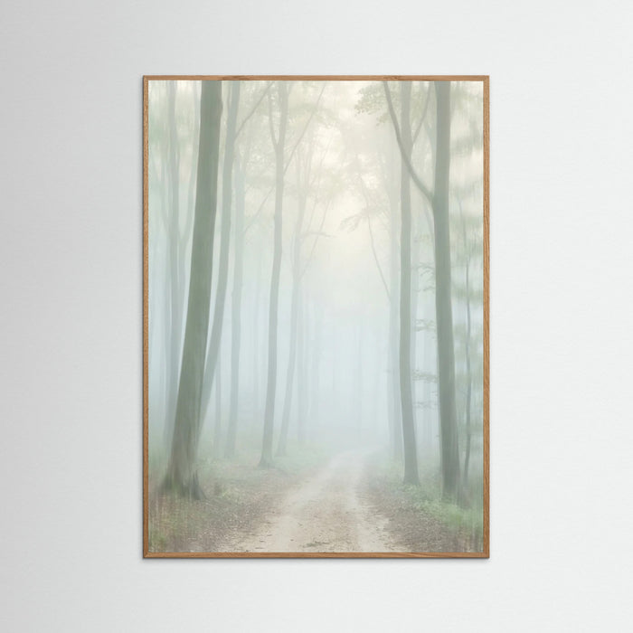 Oak Nature Coastal Serenity